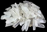 Clear Quartz Crystals (Wholesale Flat) - pounds #64727-2